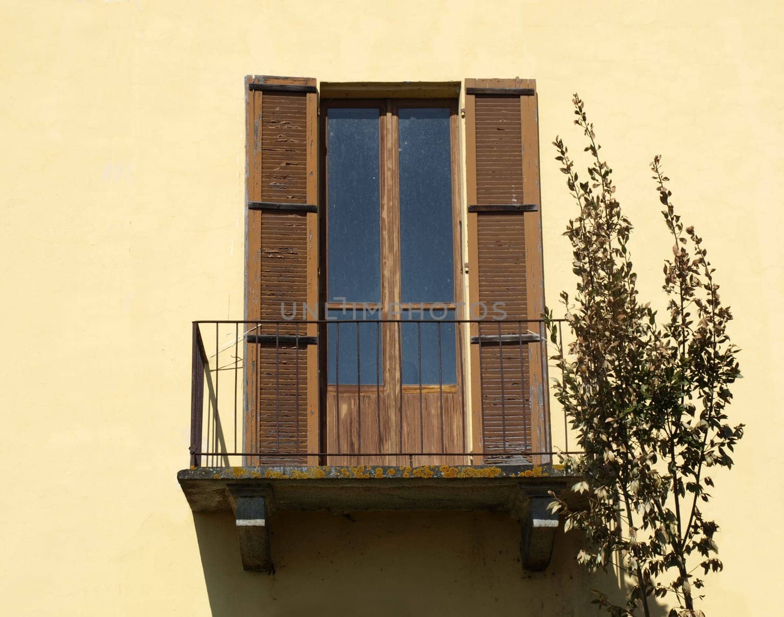 Old door