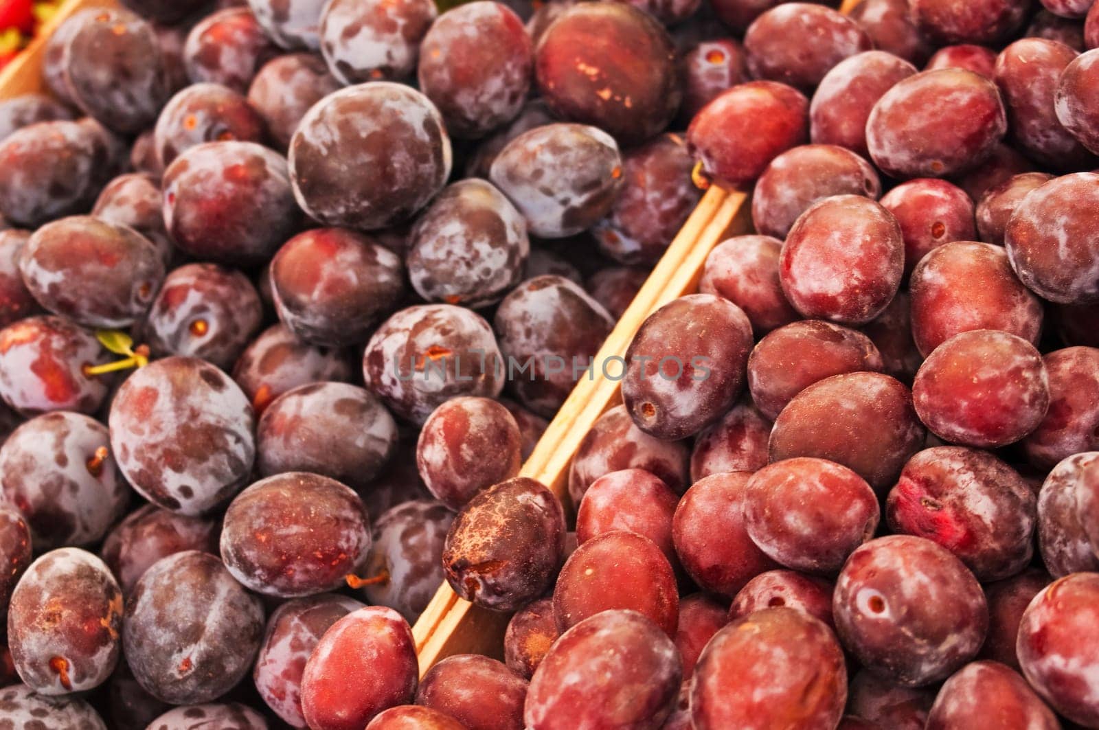 Plums,plums