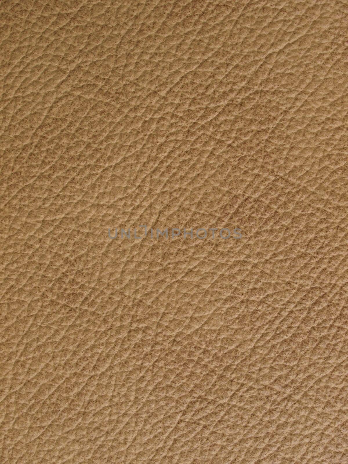 Leather sample