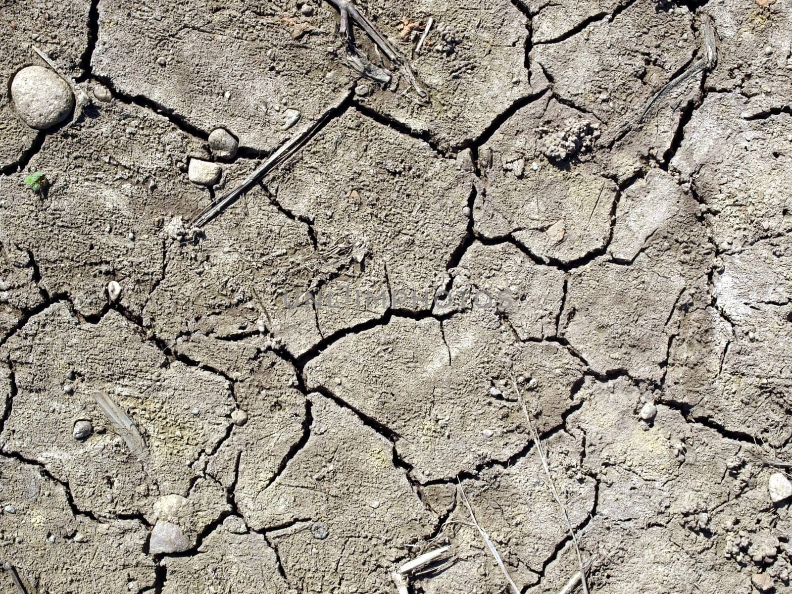 Dry earth