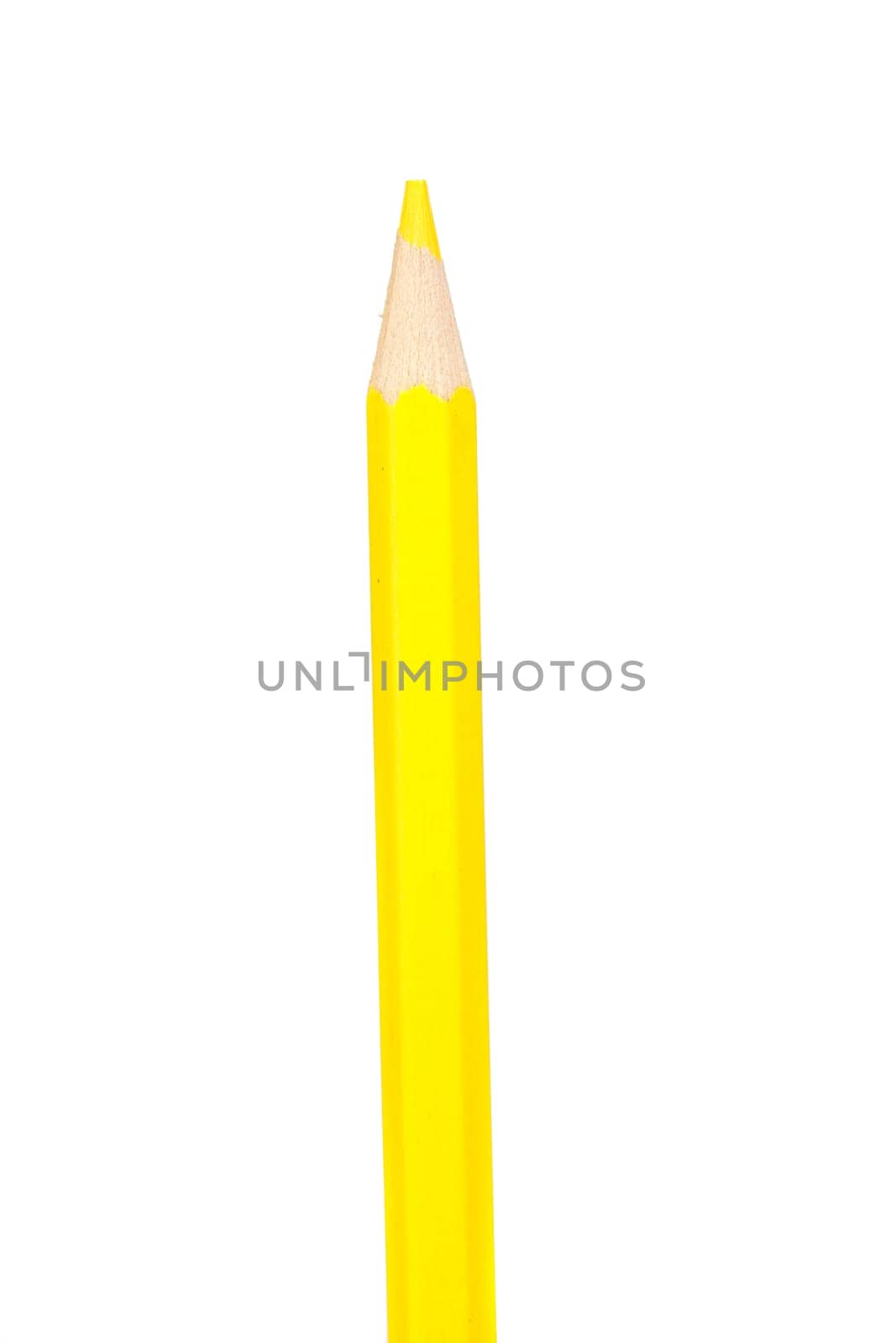 Yellow pencil vertically