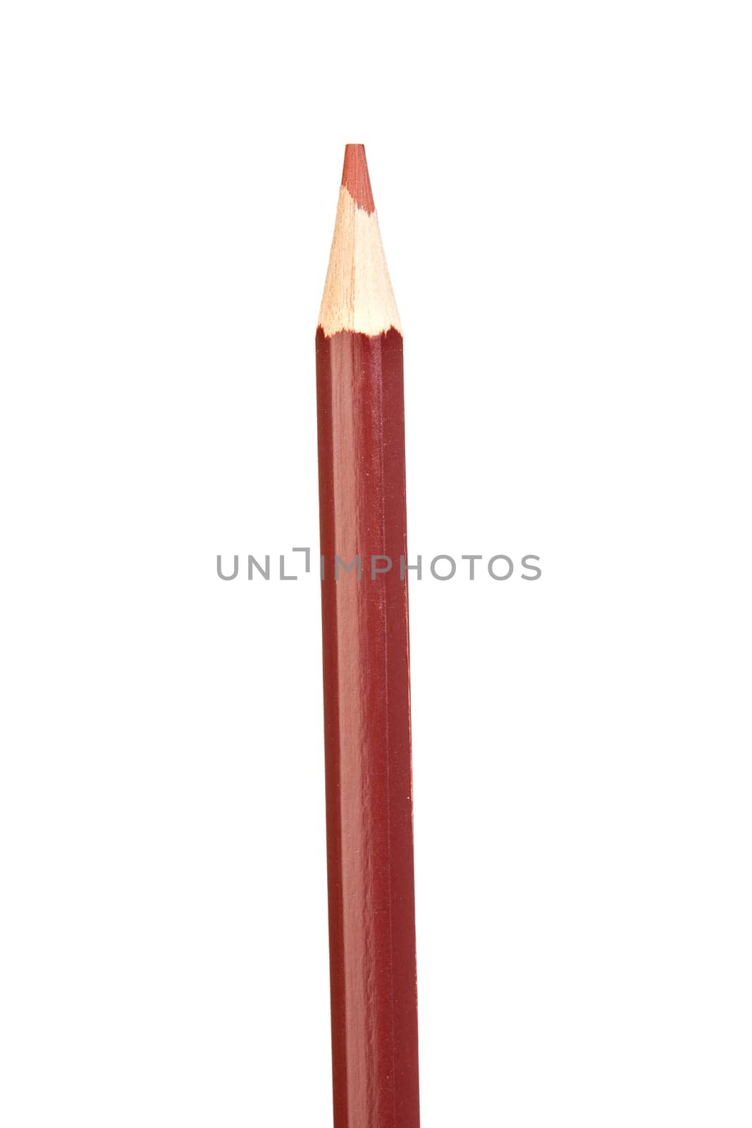 Brown pencil vertically