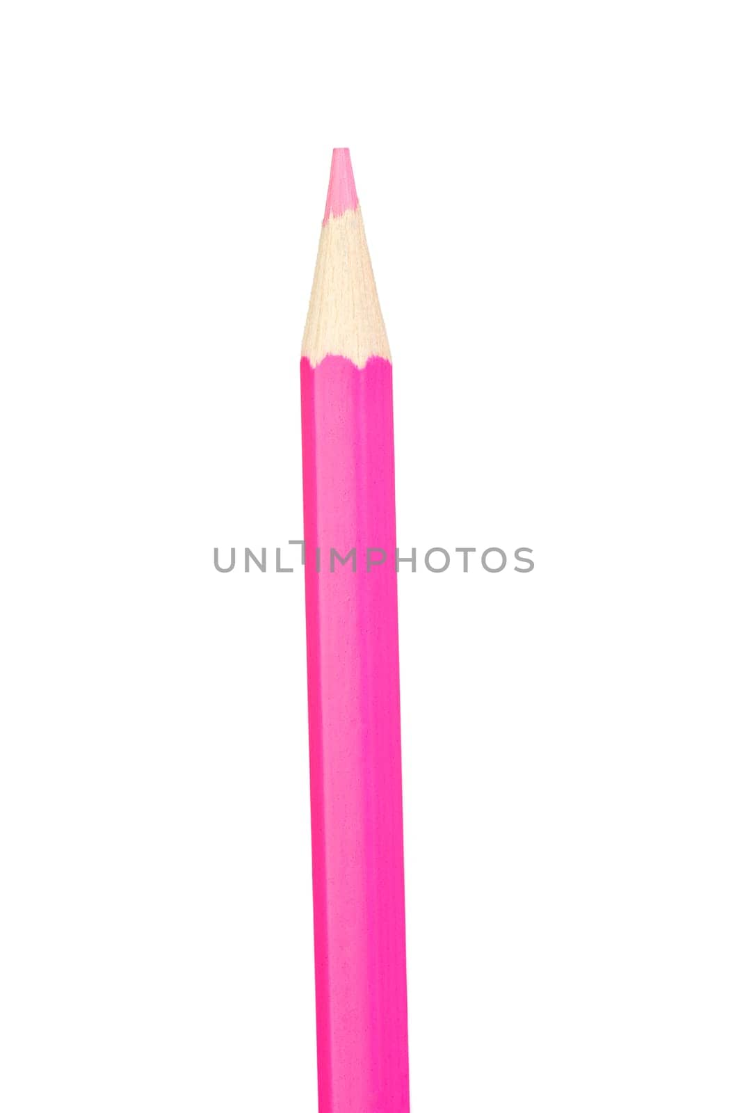 Pink pencil vertically