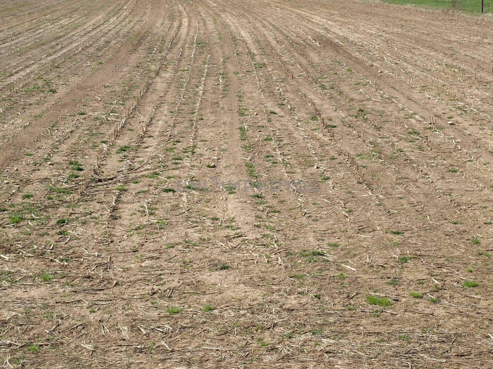 Field