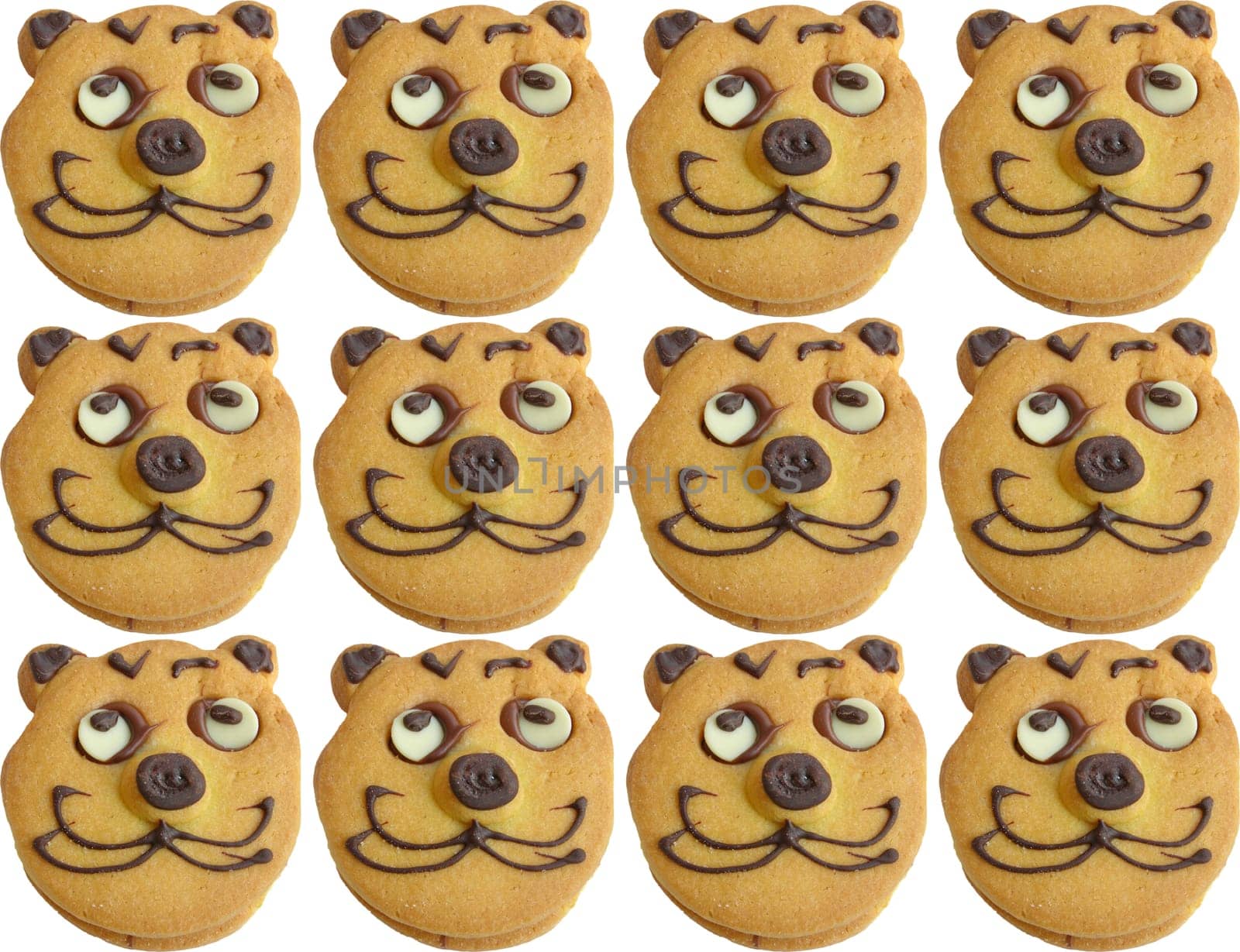 Range of homemade baked cookies with cat face isolated on white
