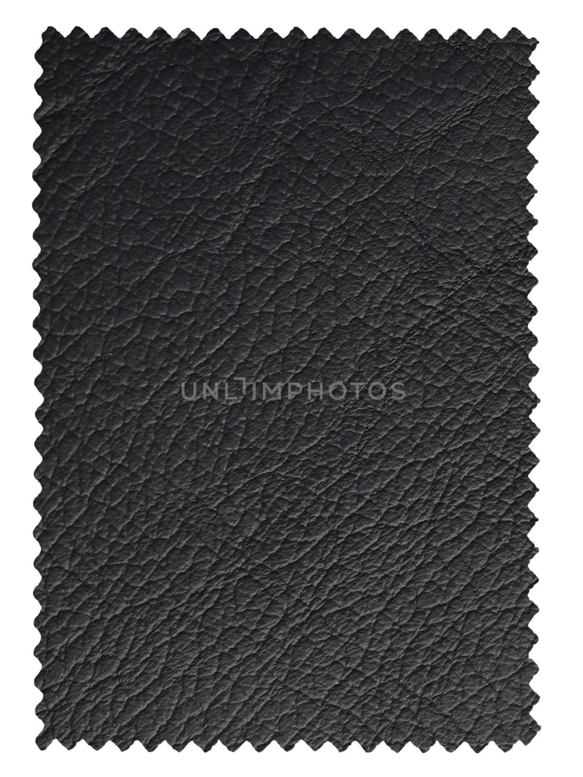 Leather sample