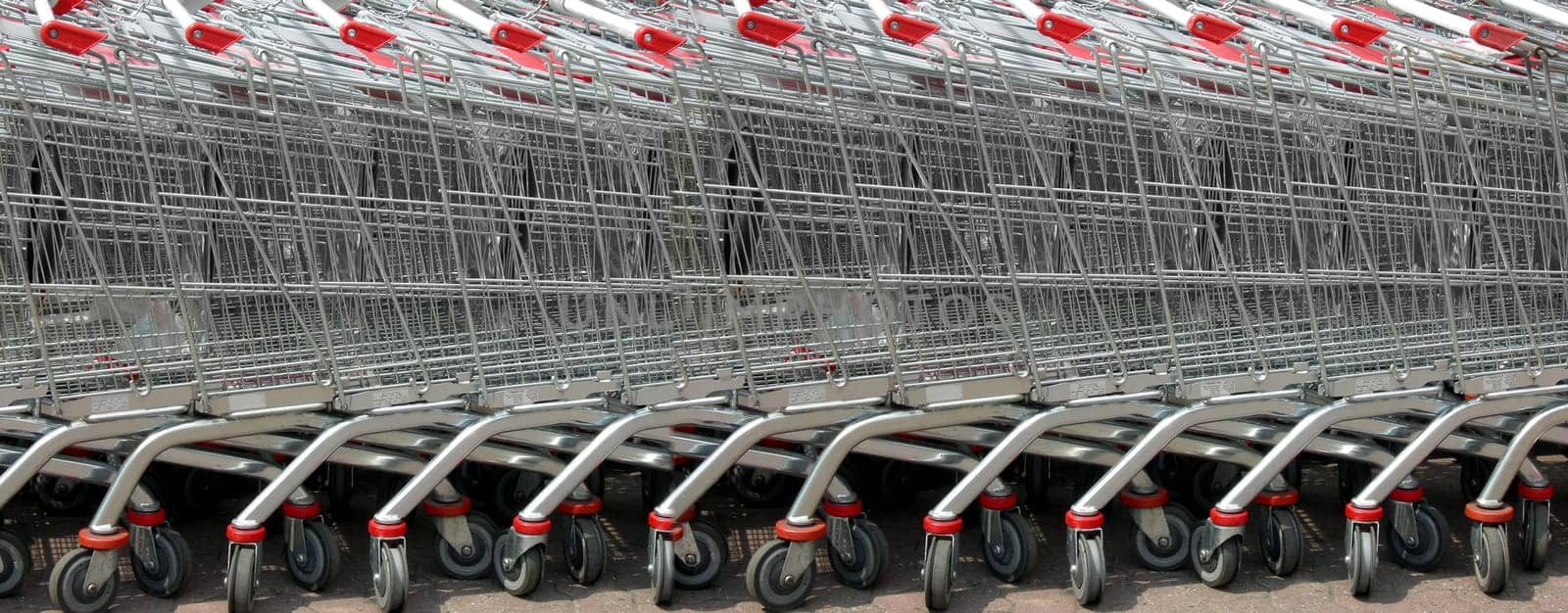 Shopping carts