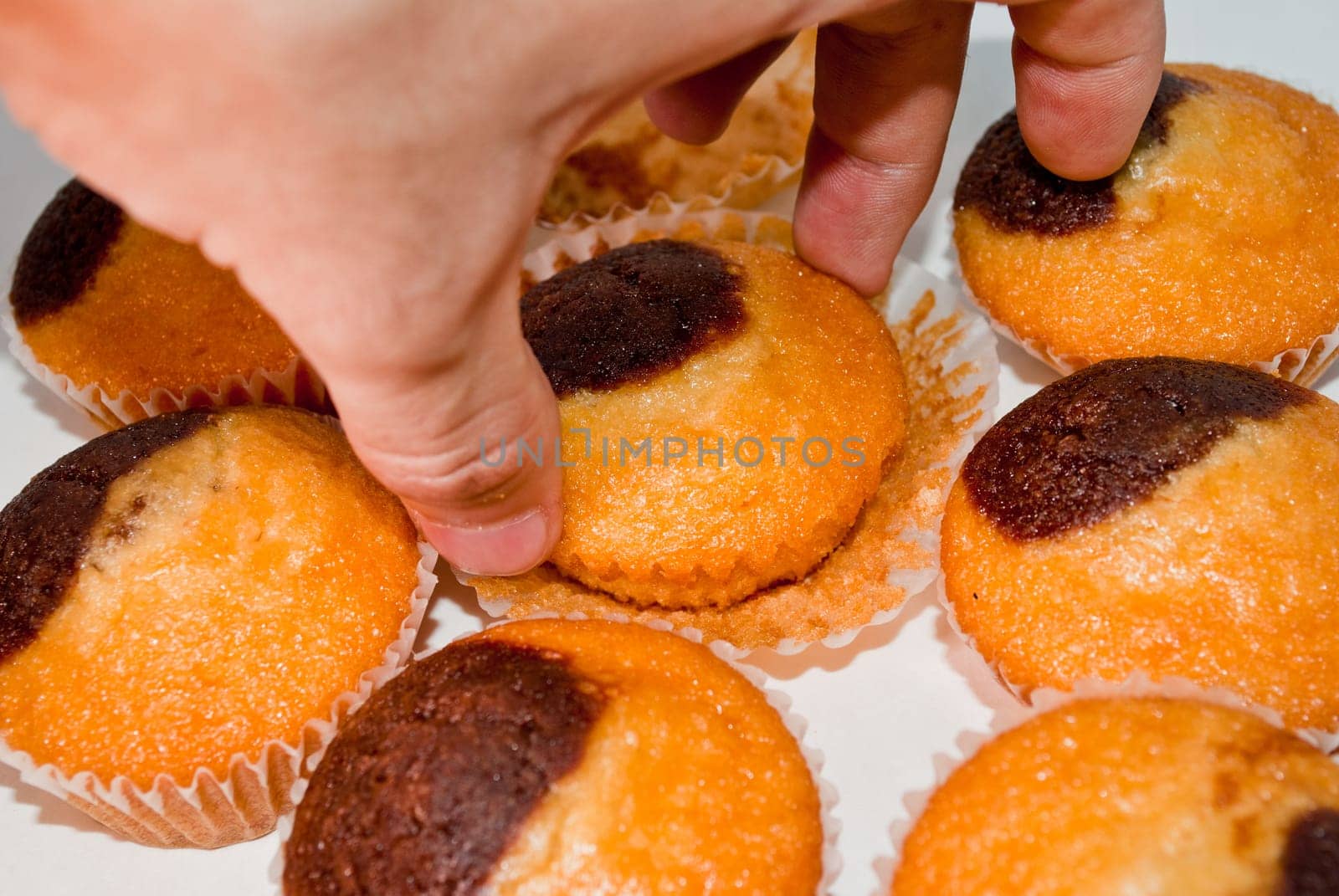 Homemade Muffins