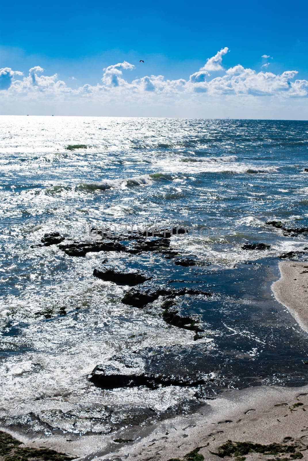 Black Sea coastline