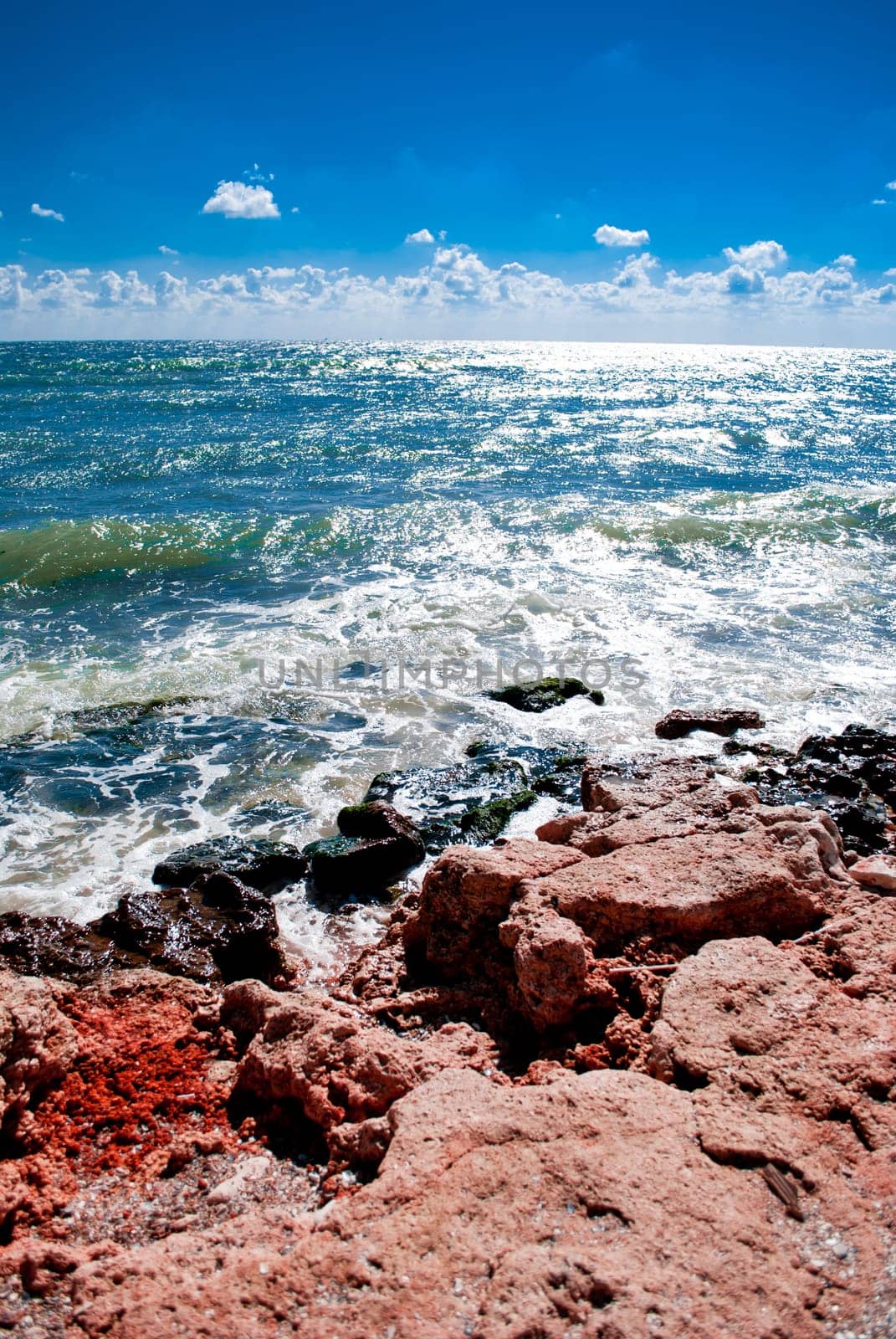 Black Sea coastline