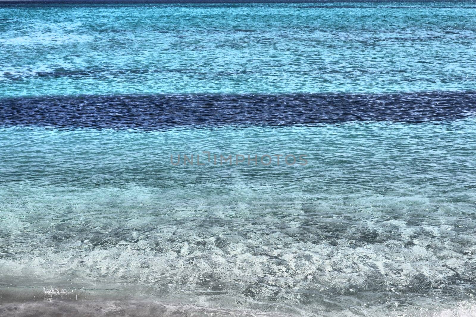 Water
