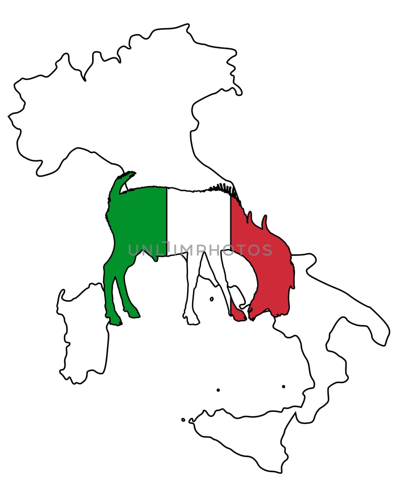 Italian billy goat