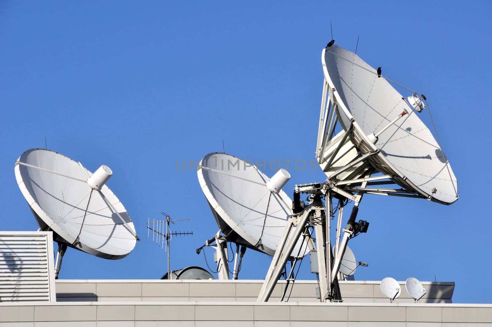 Satellite Communications Dishes on a Roof