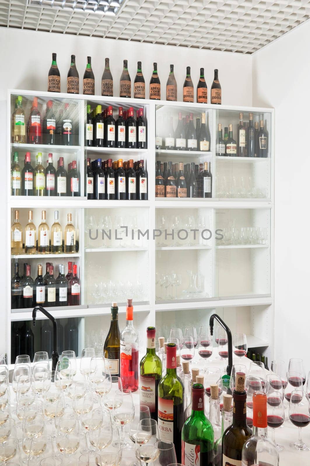Winetasting room