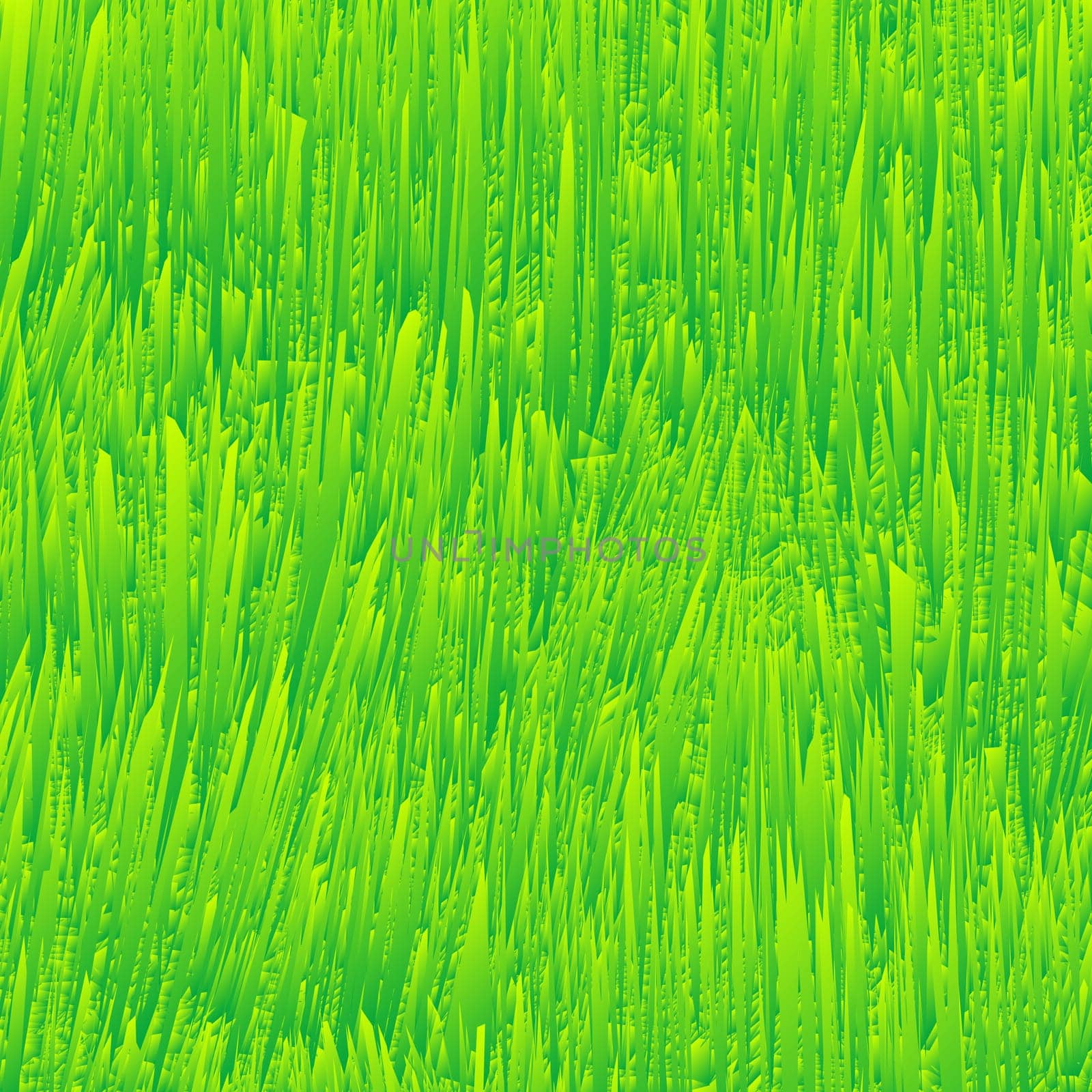 fresh grass texture