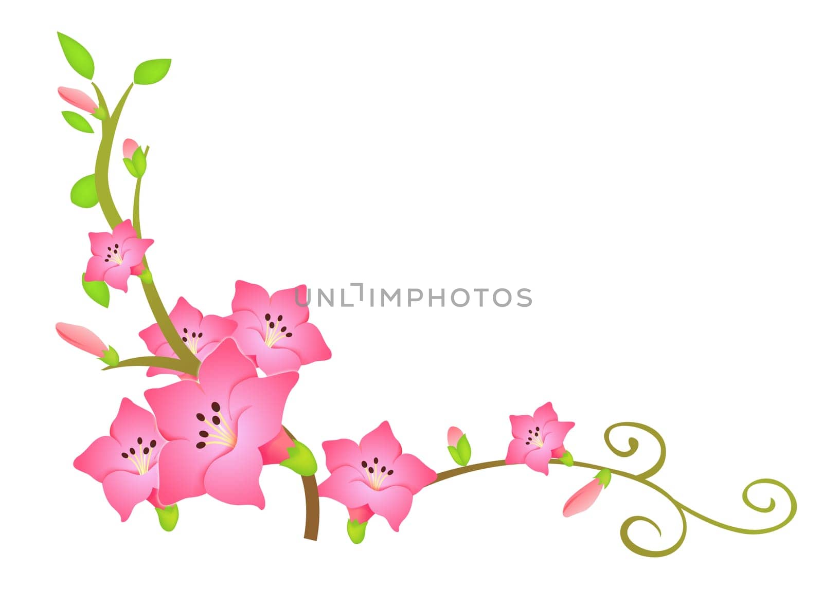pink flower