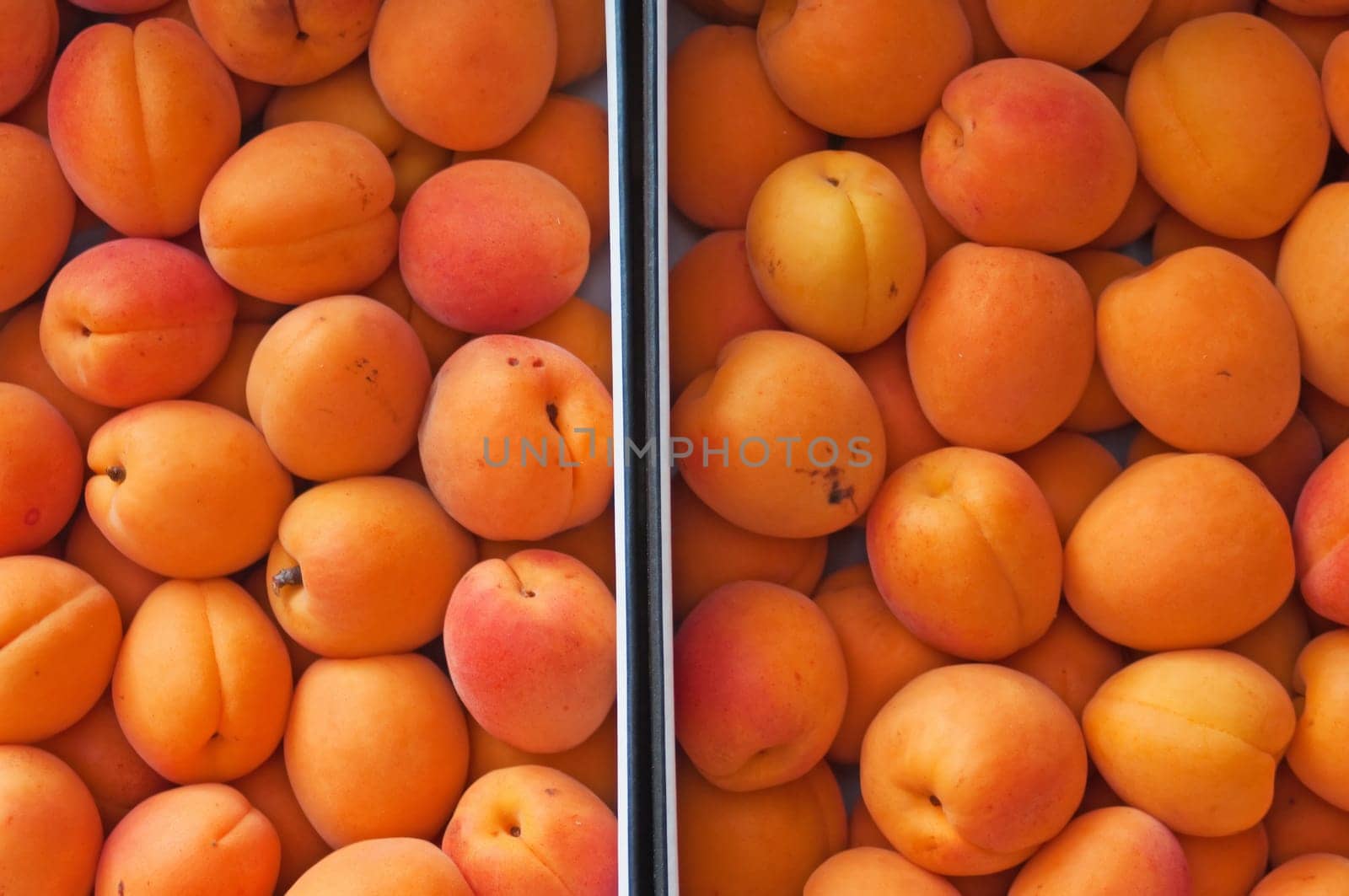 Apricots
