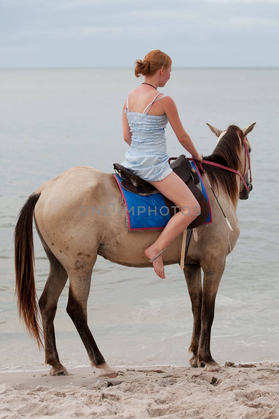 Girl rides horse