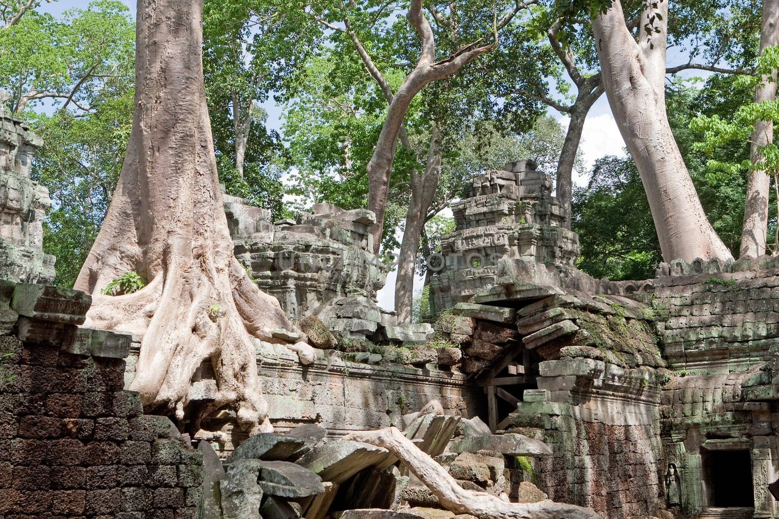 Ta Prohm in Angkor