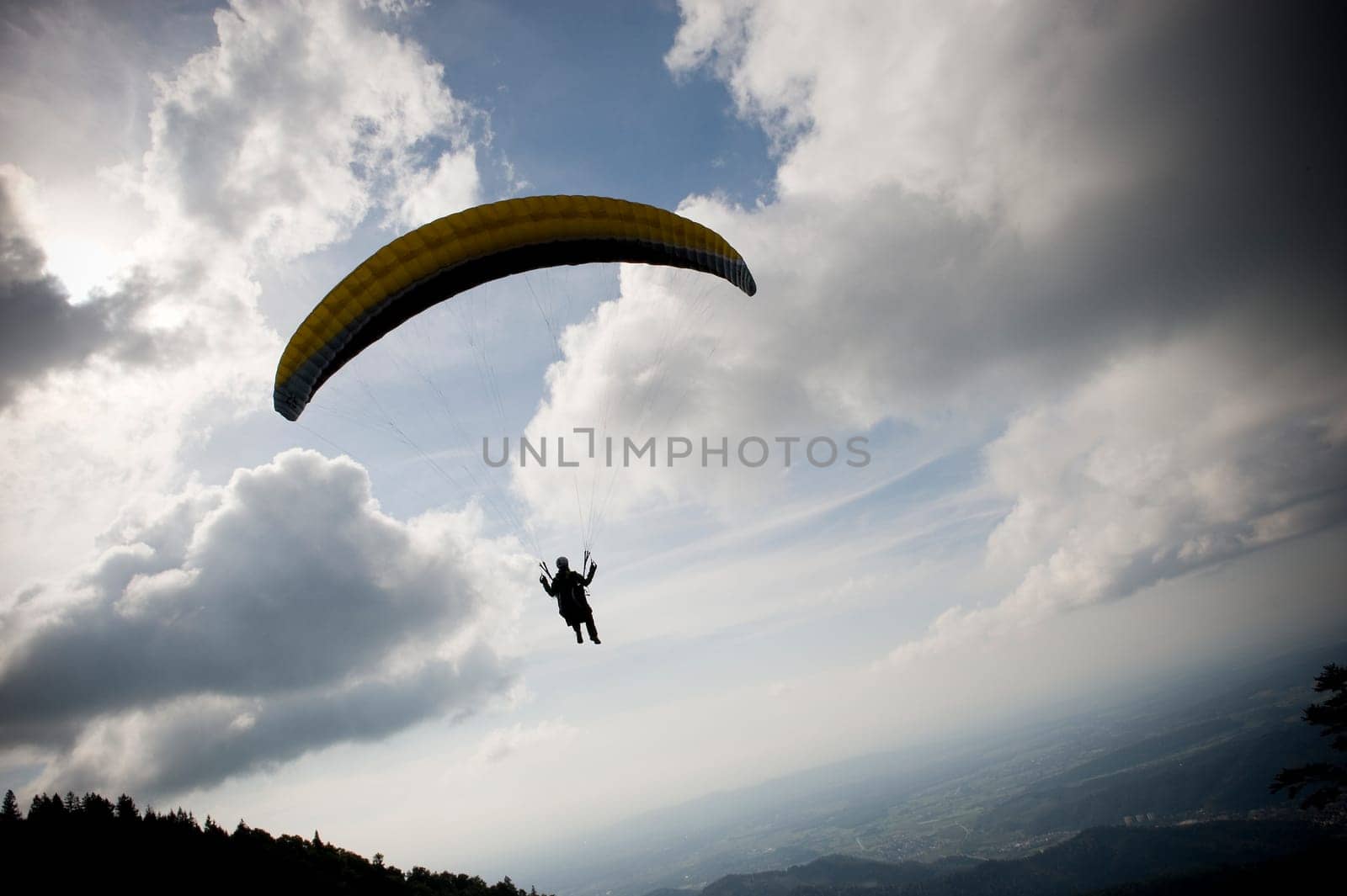 Paraglider