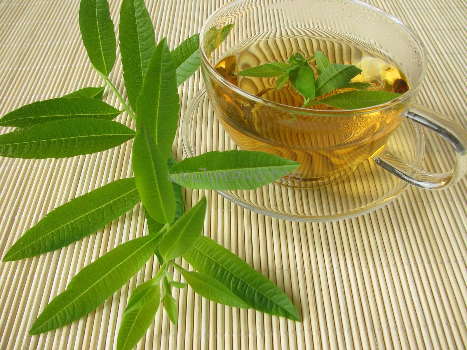 Tea with lemon verbena