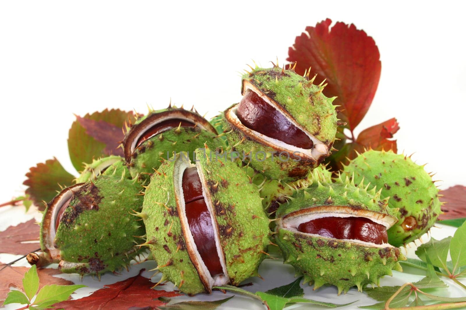 Chestnuts