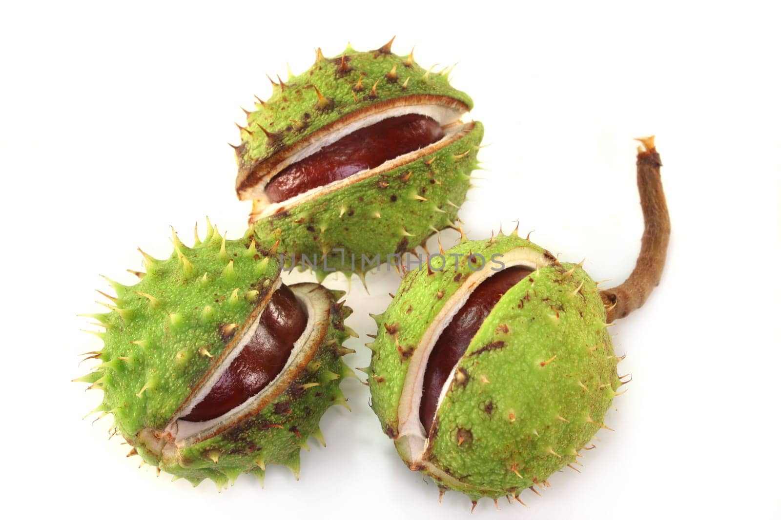 Chestnuts