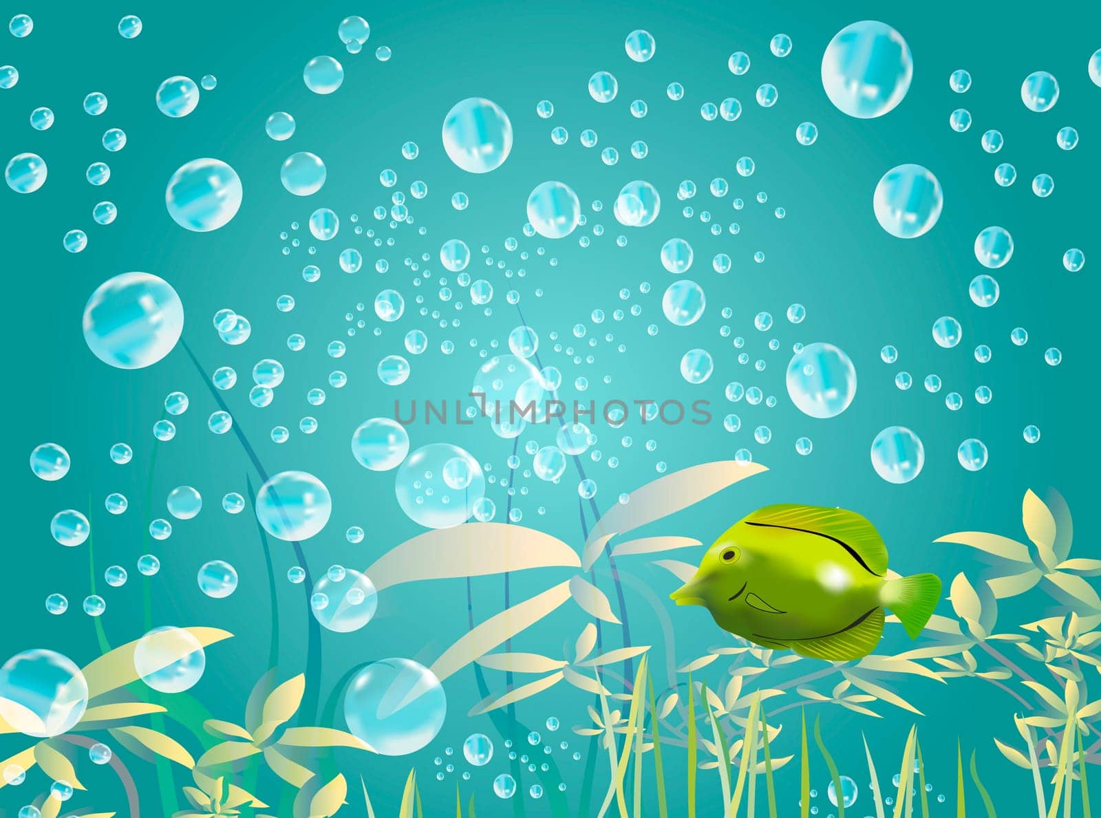 Fish in water