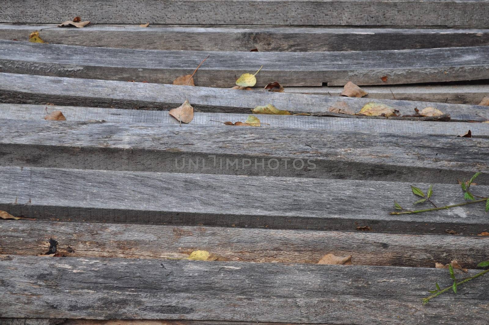 Wood