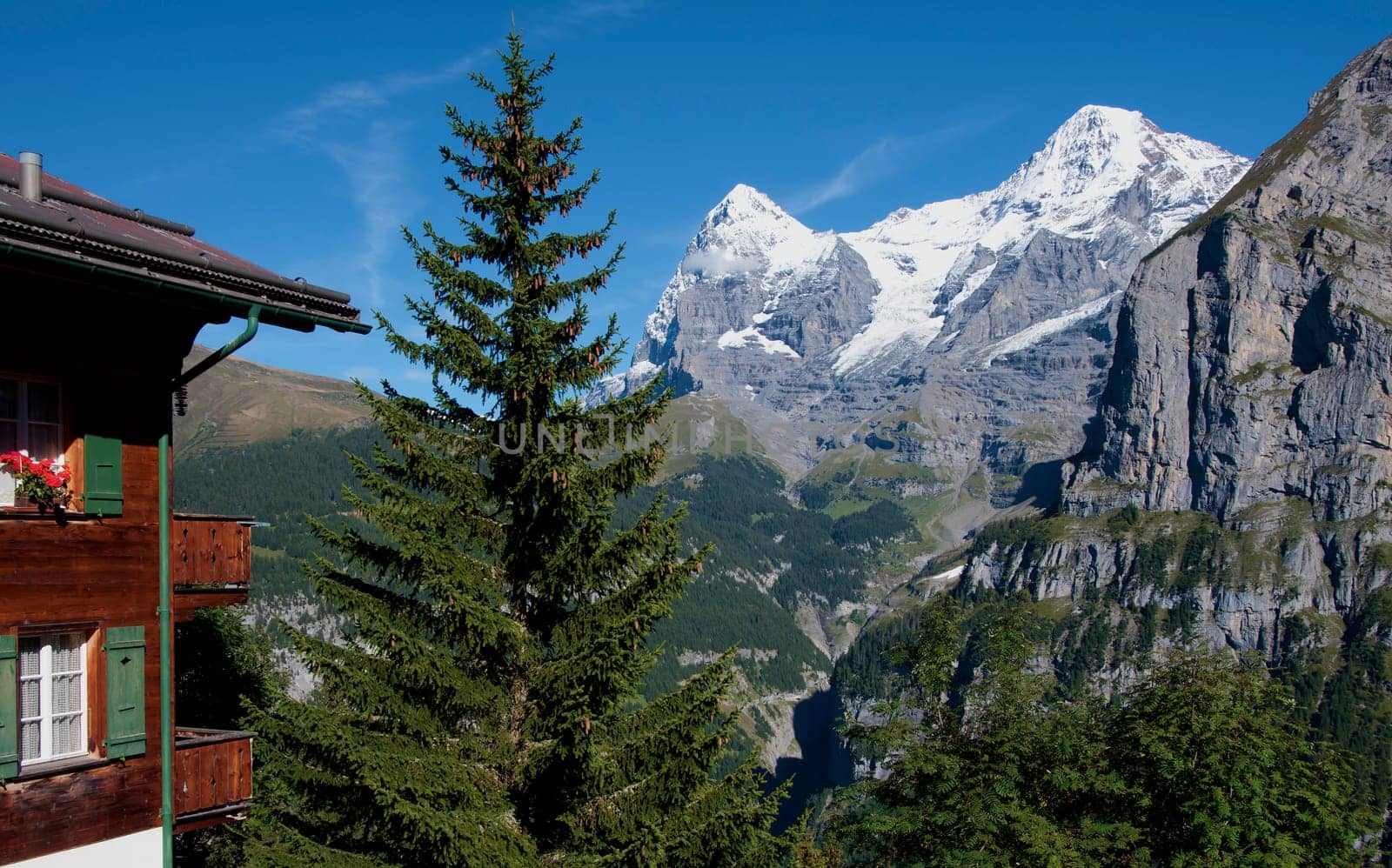 View from Mürren