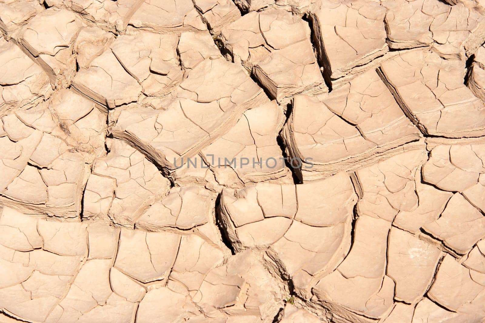 dried and cracked ground