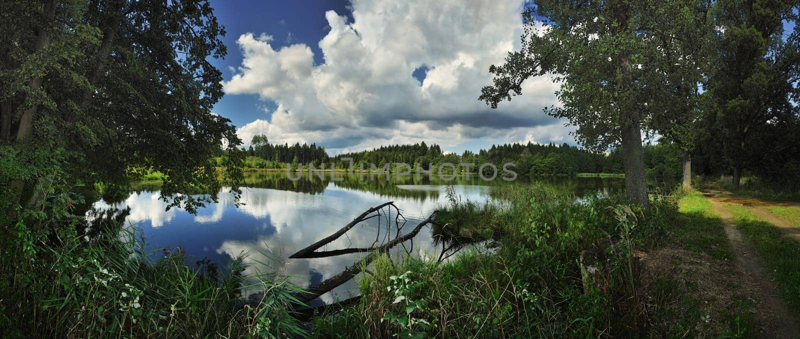 Amtwiesteich in the Wald4tel