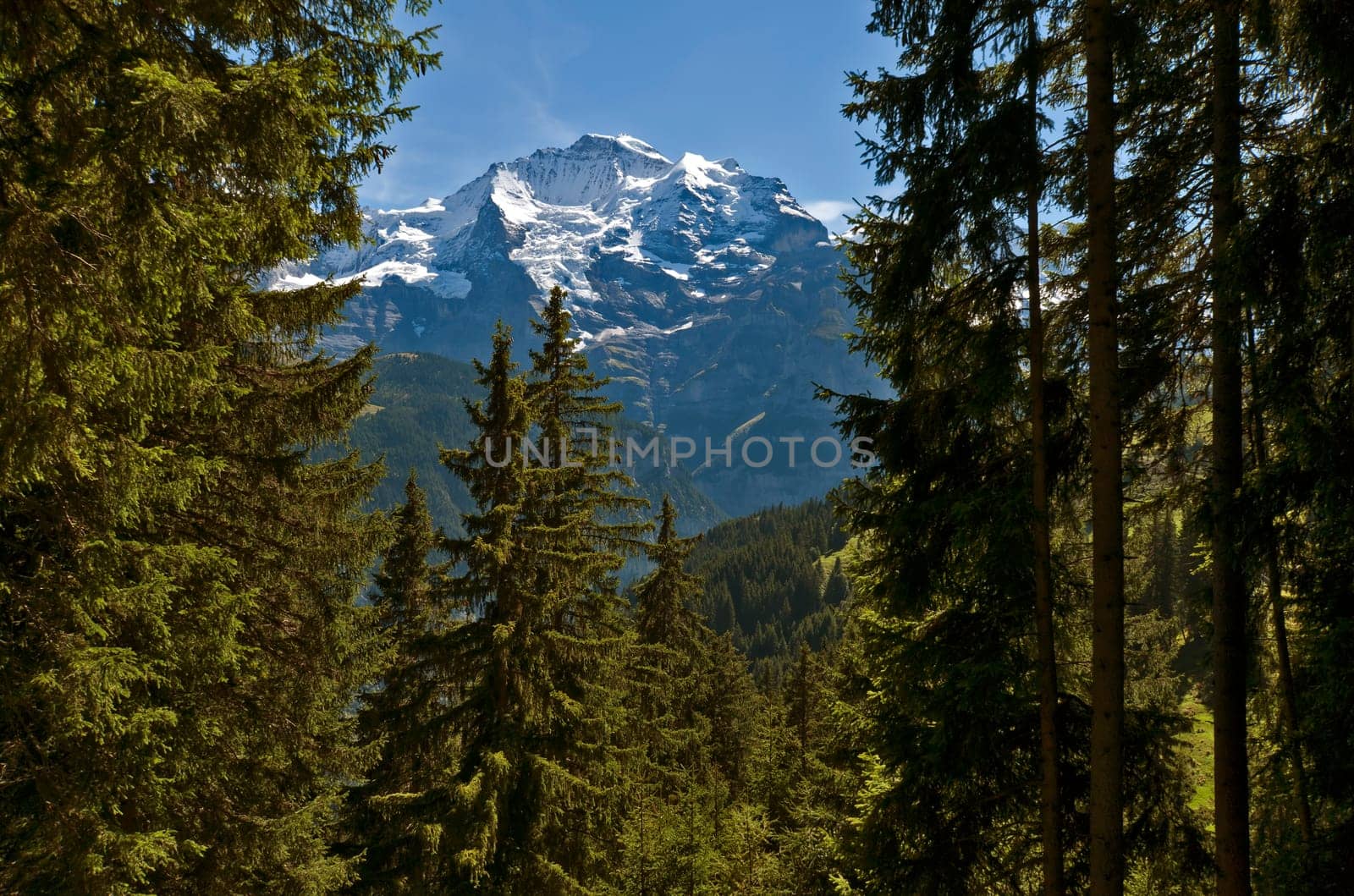 Virgo from Mürren's point of view