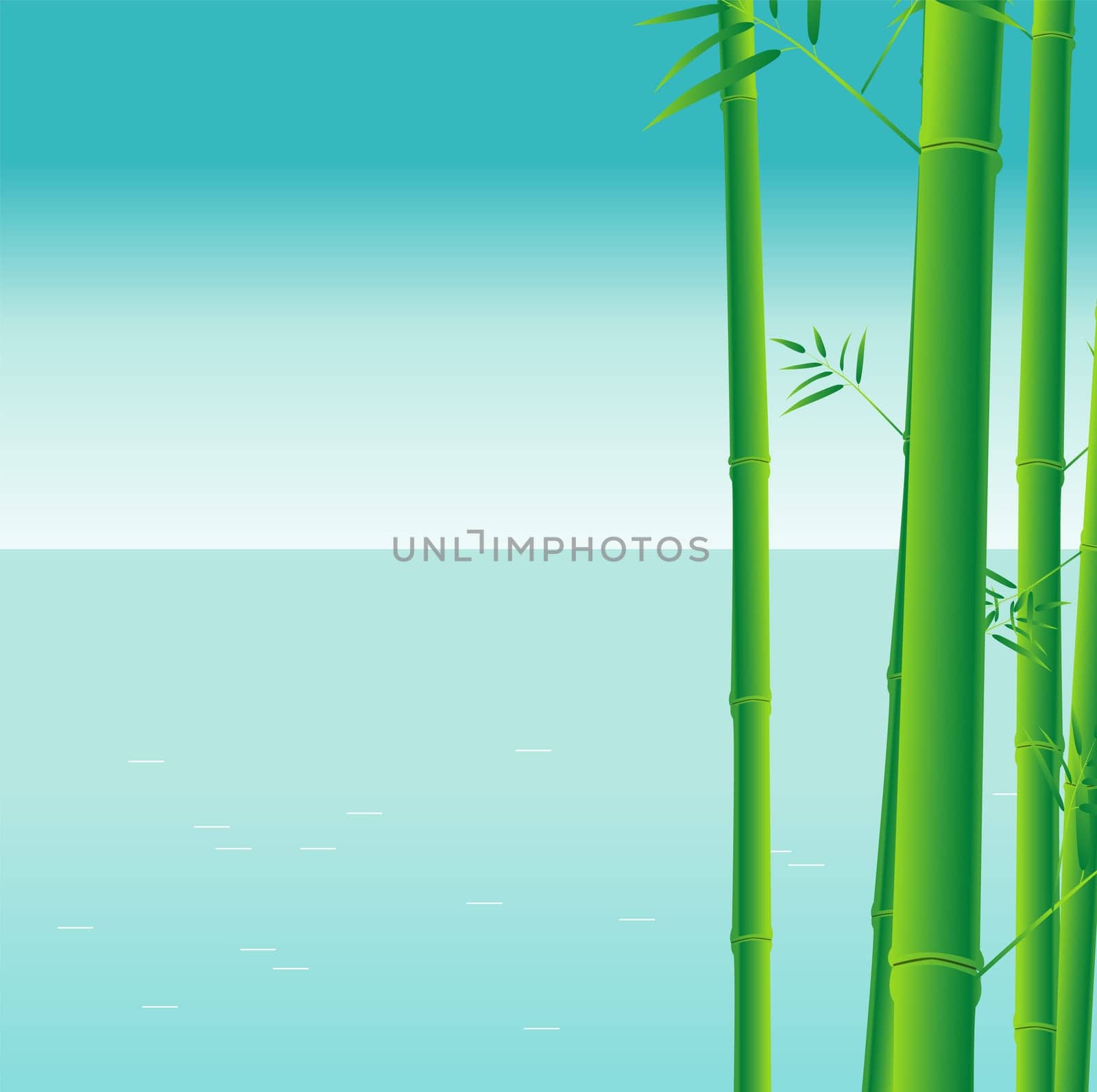 bamboo