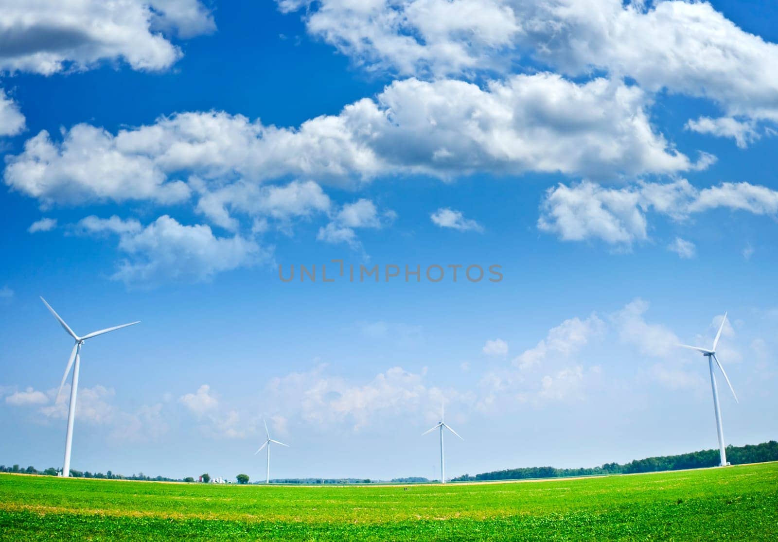 Wind turbines in field