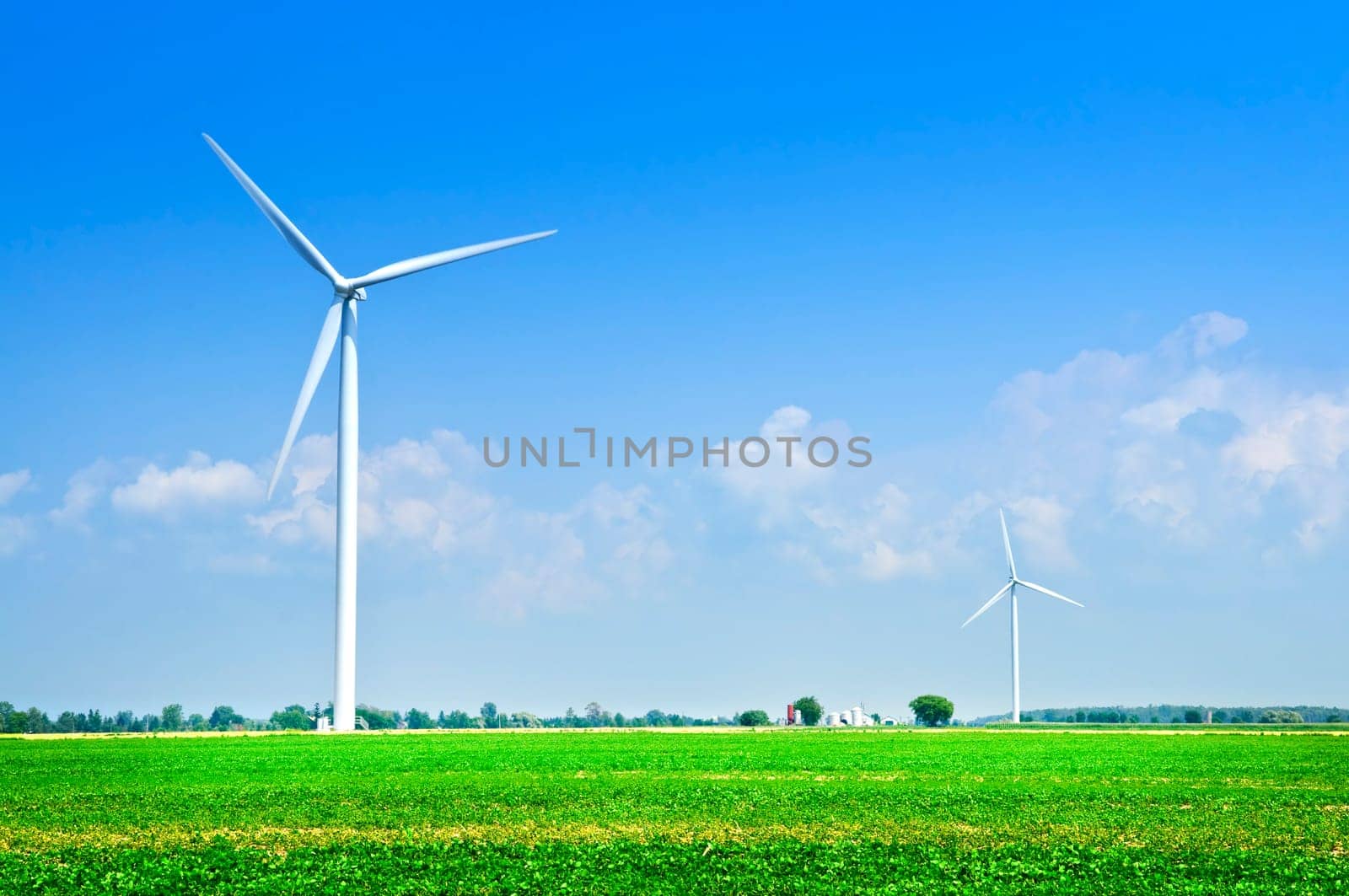 Wind turbines in field