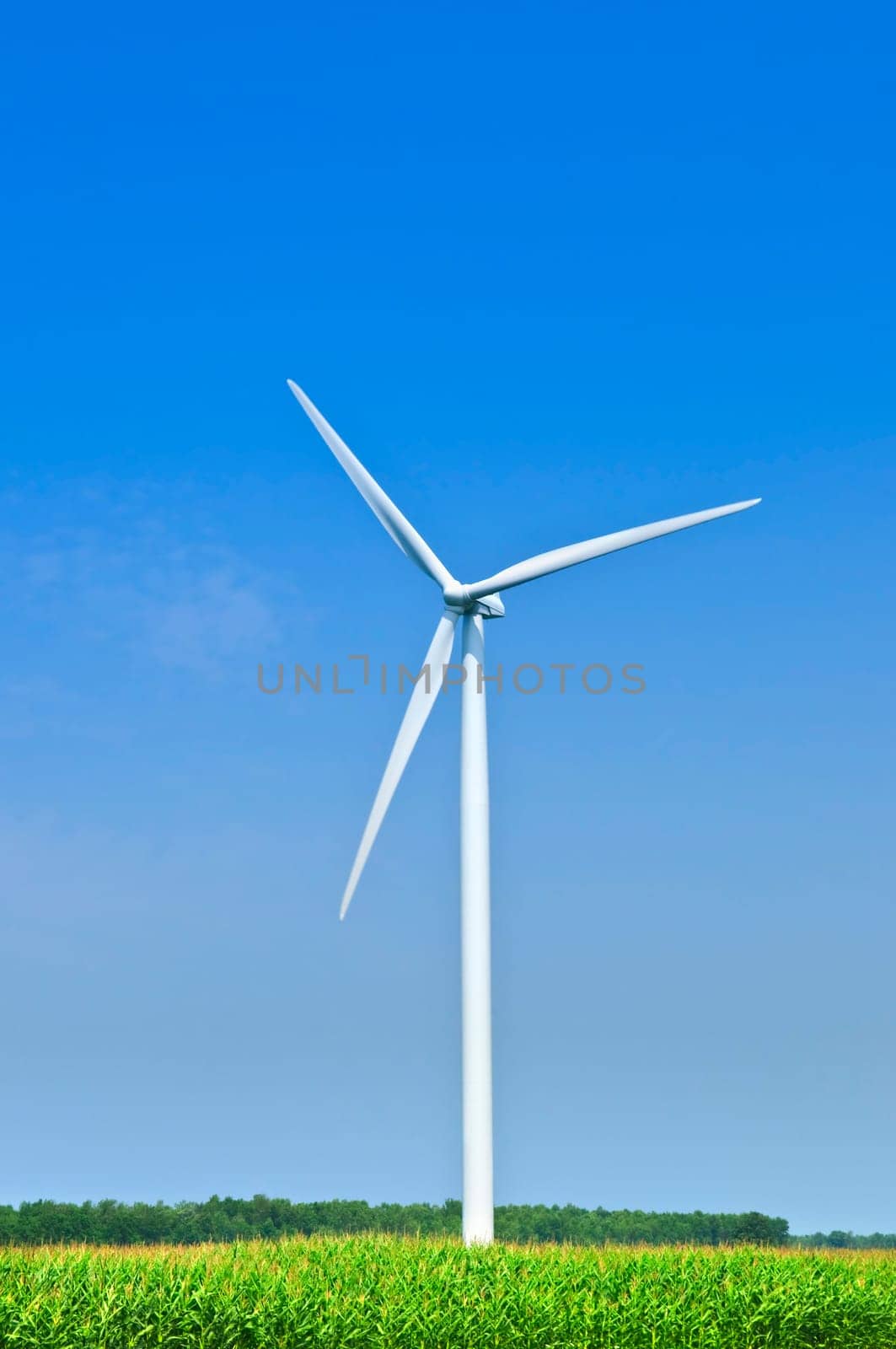 Wind turbine in field