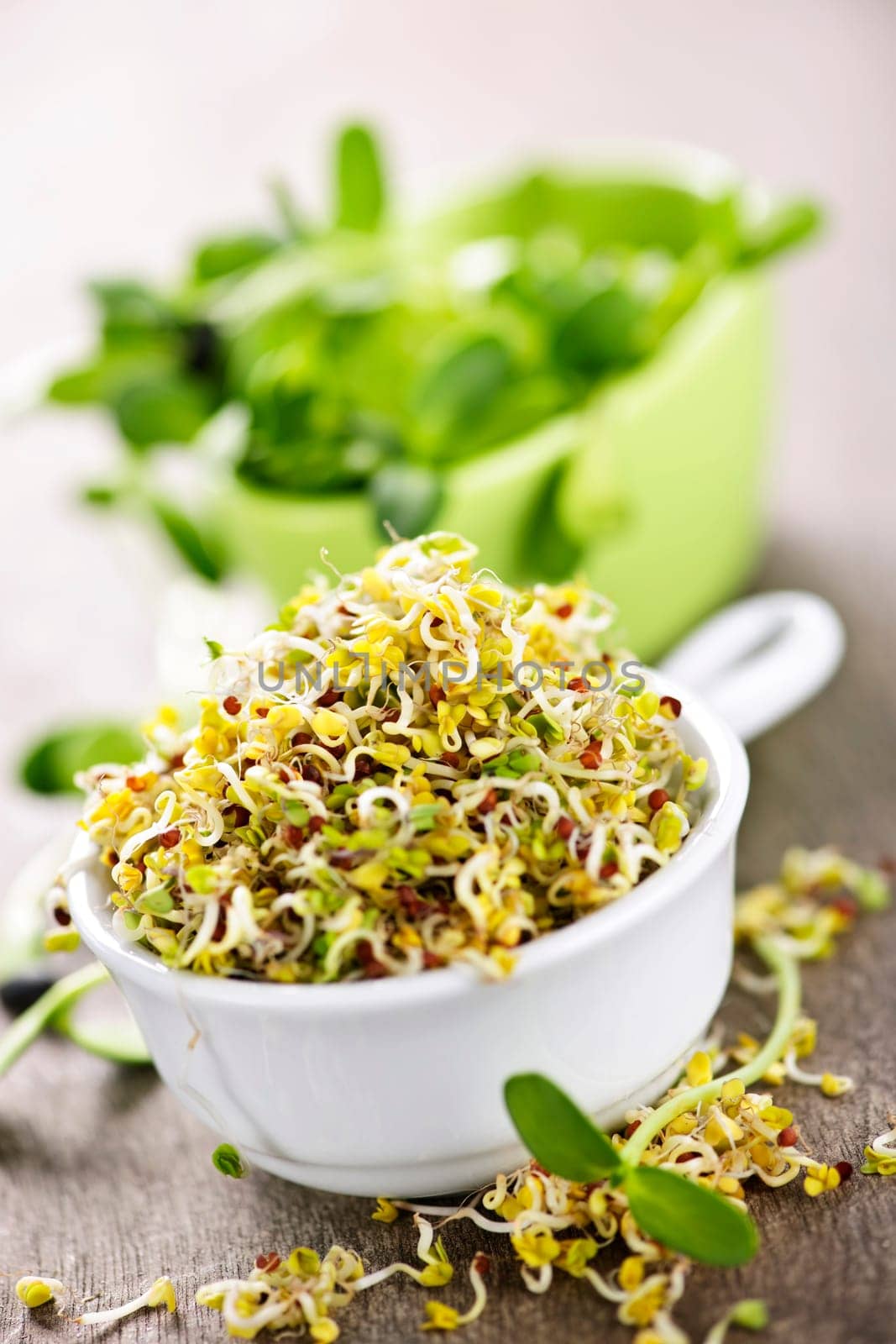 Sprouts in cups