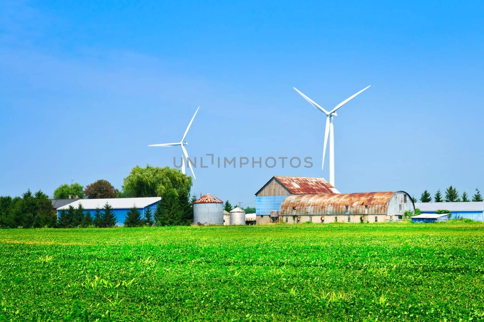 Wind turbines on farm