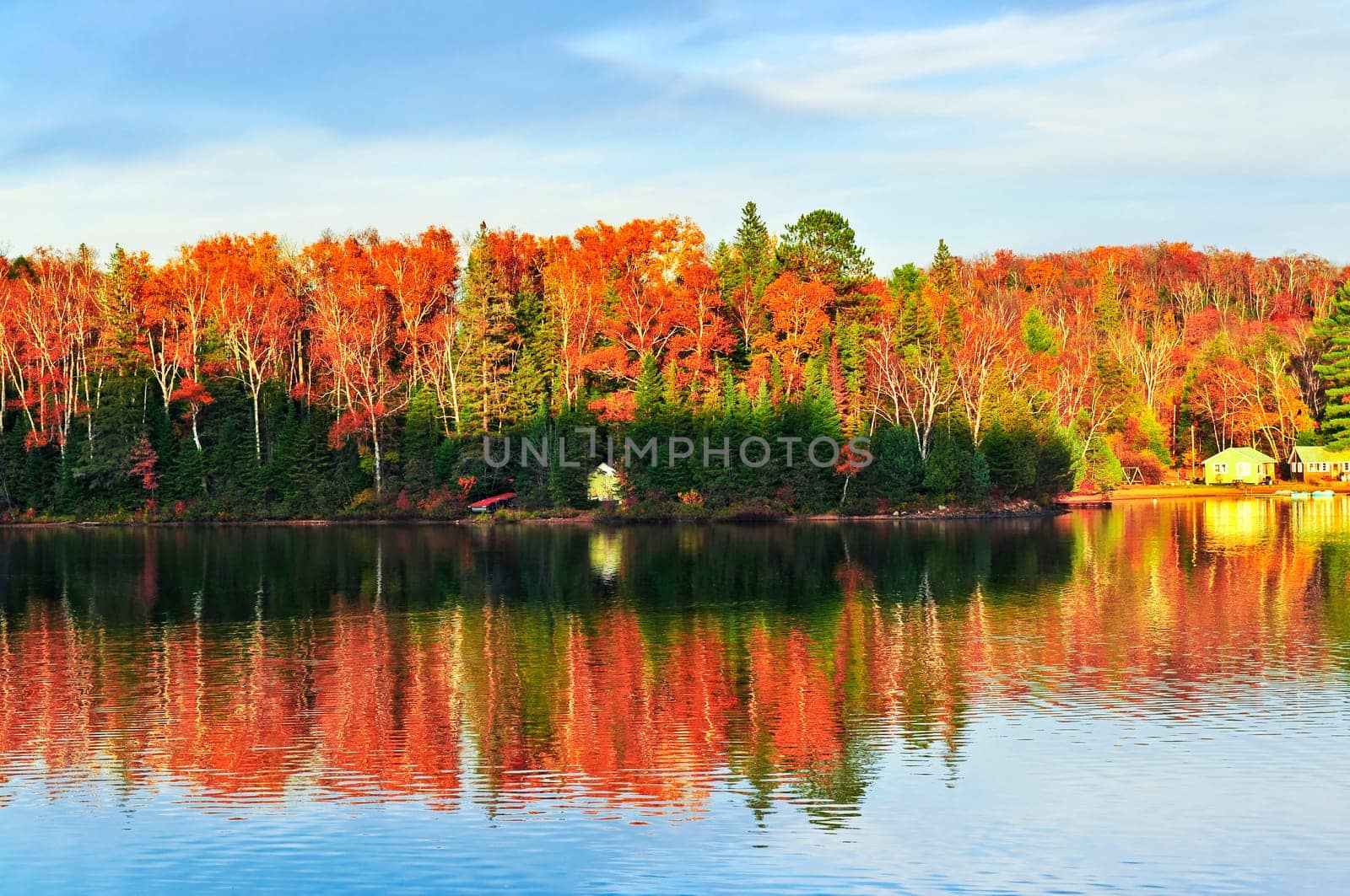 Fall forest reflections
