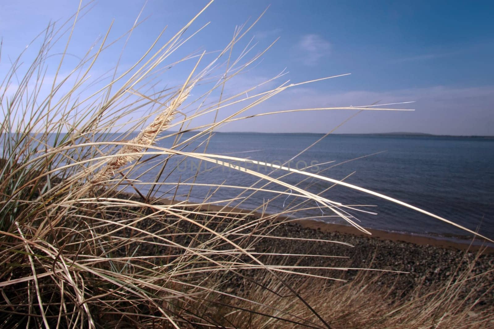hay fever coast