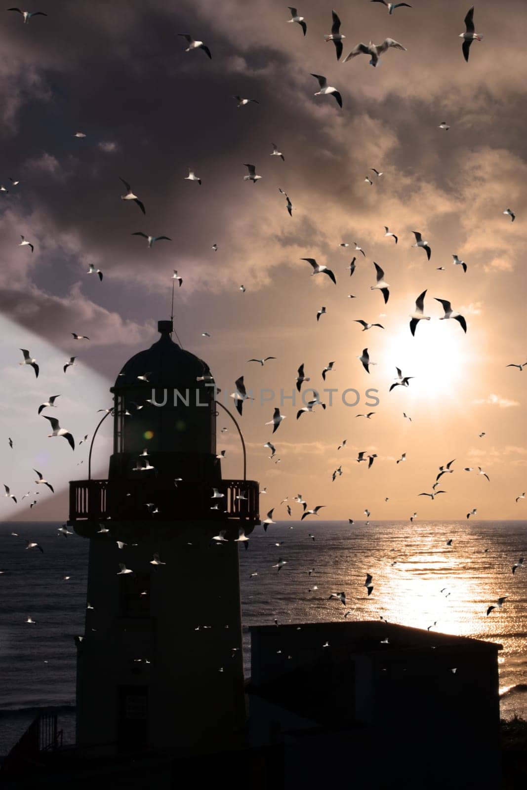 lighthouse flock