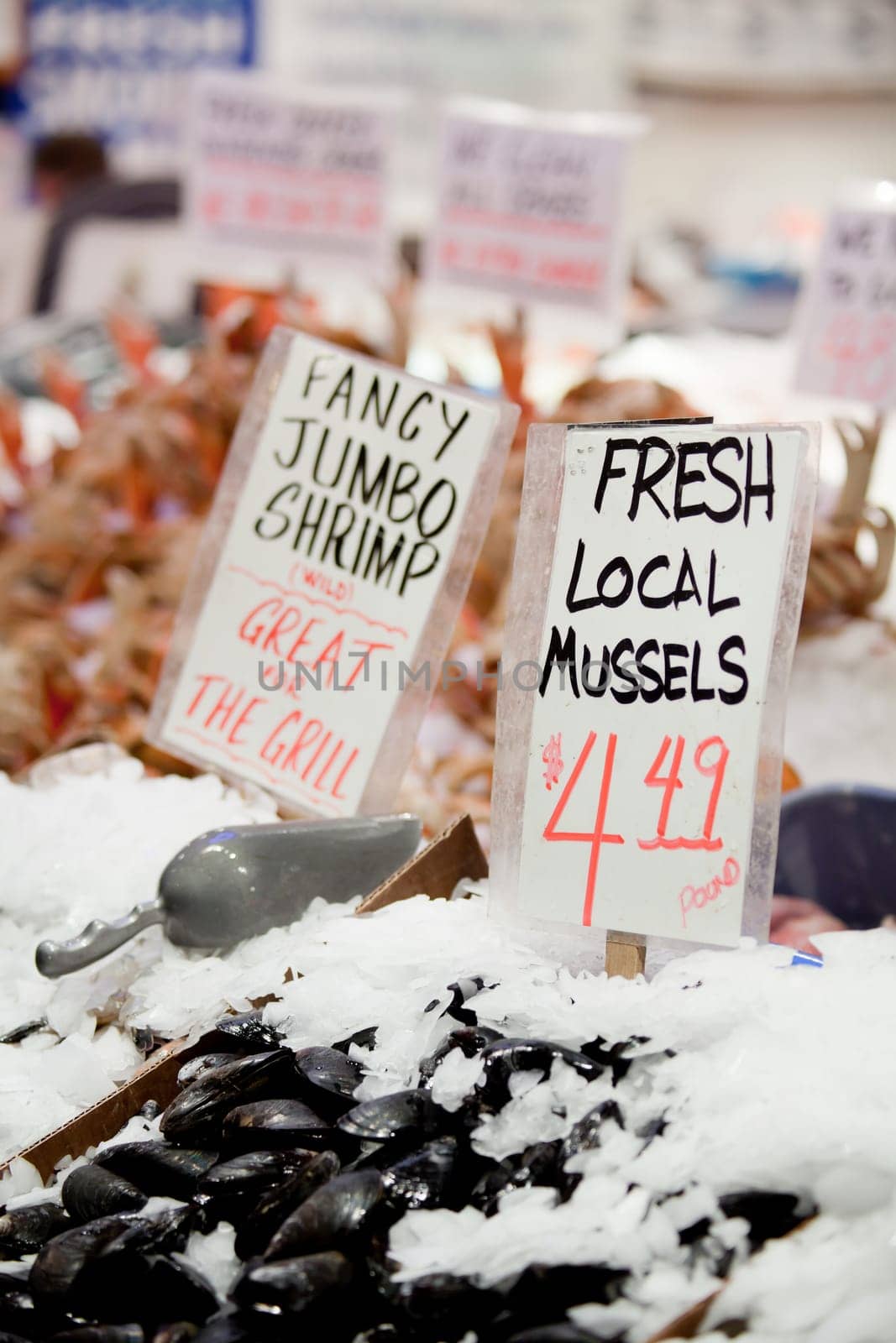 fresh local mussels sign at market