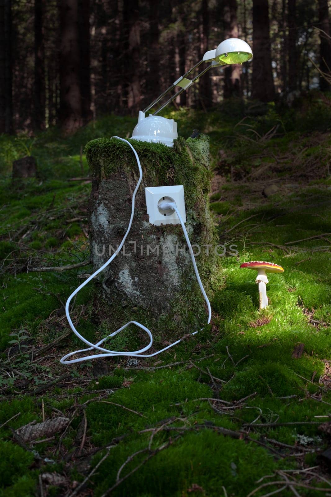 Green Electricity