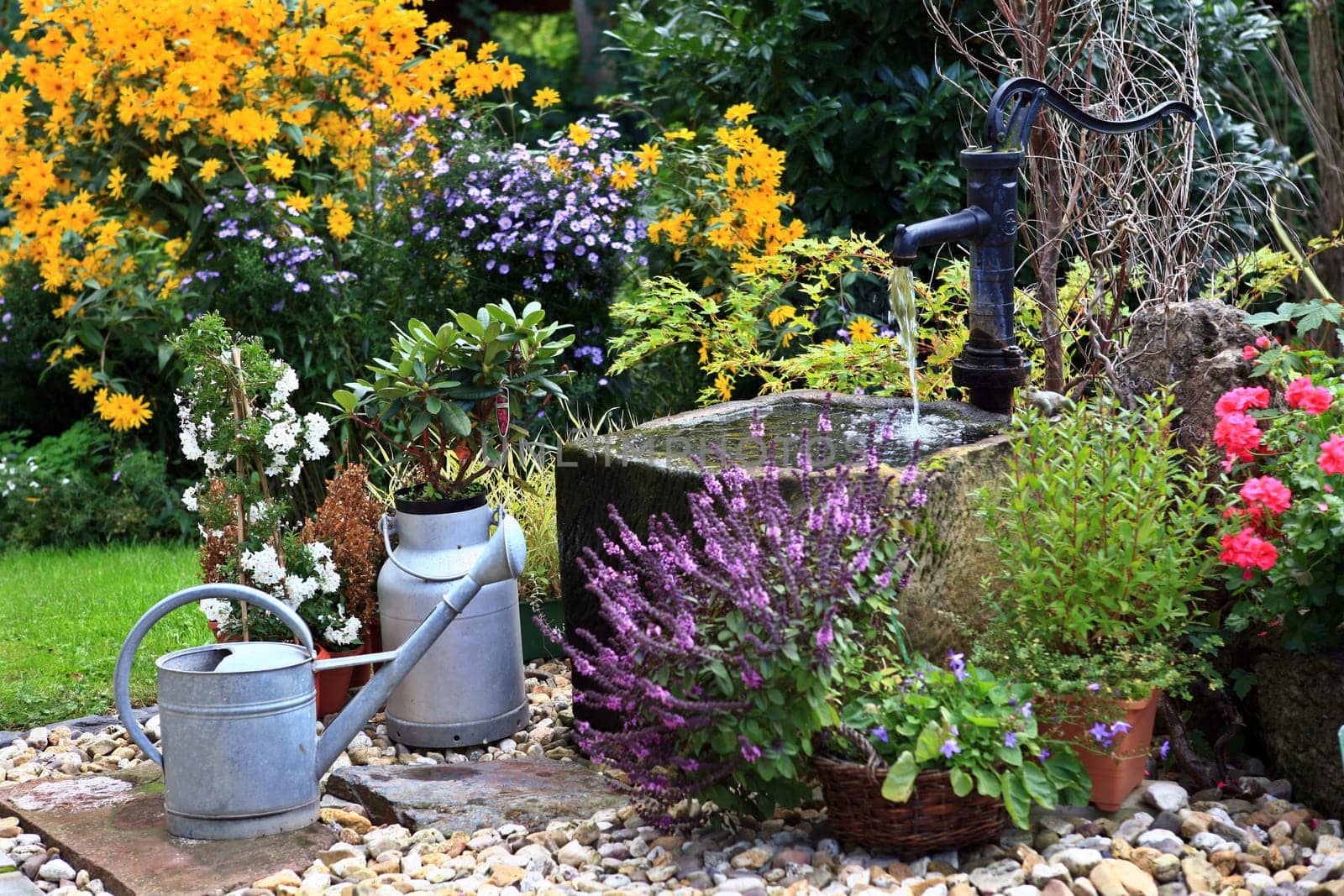Swivel pump and trough in the garden