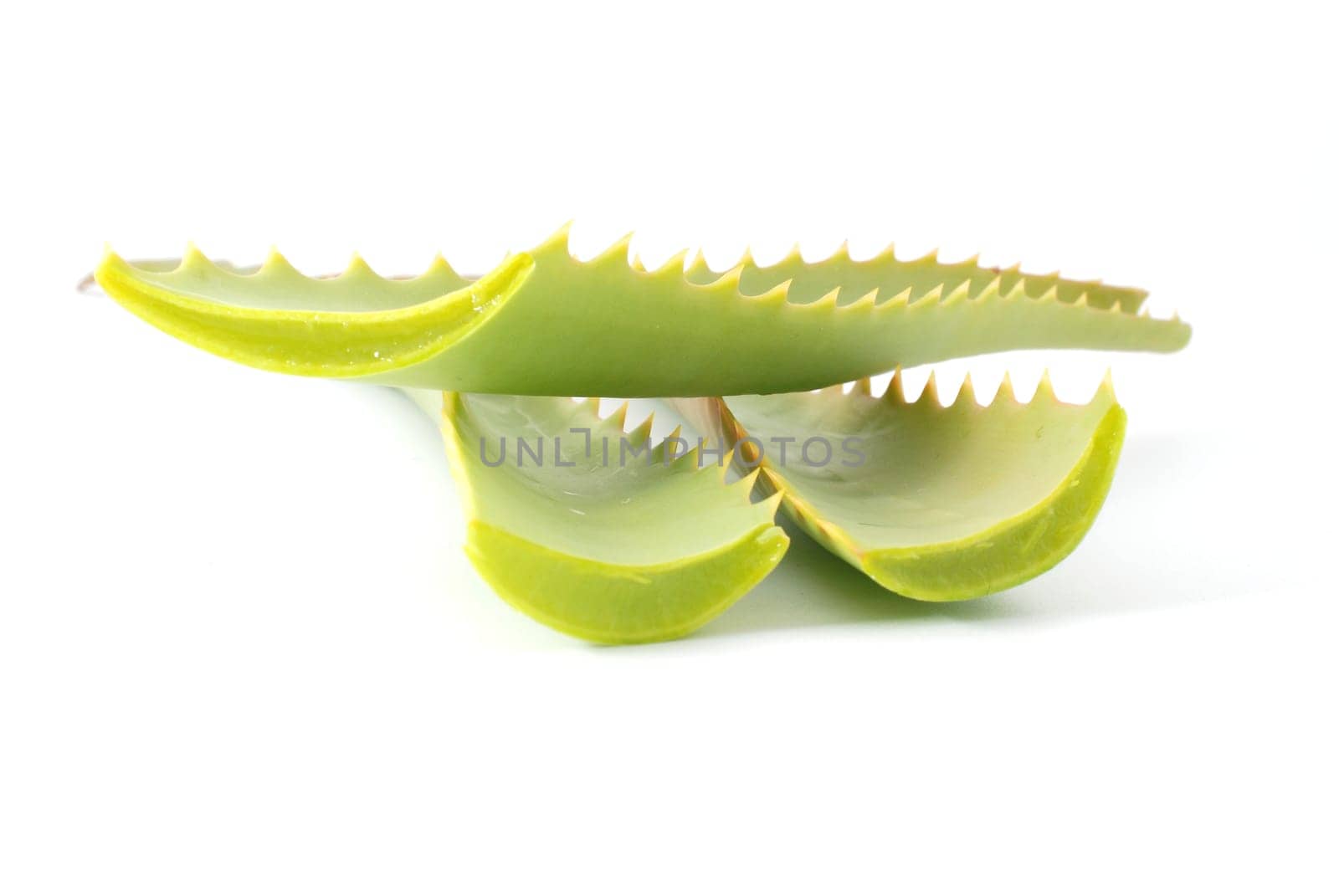 Aloe