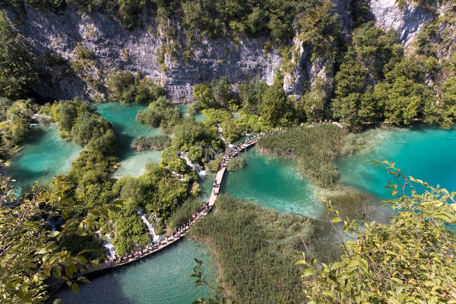 Bird's-eye view