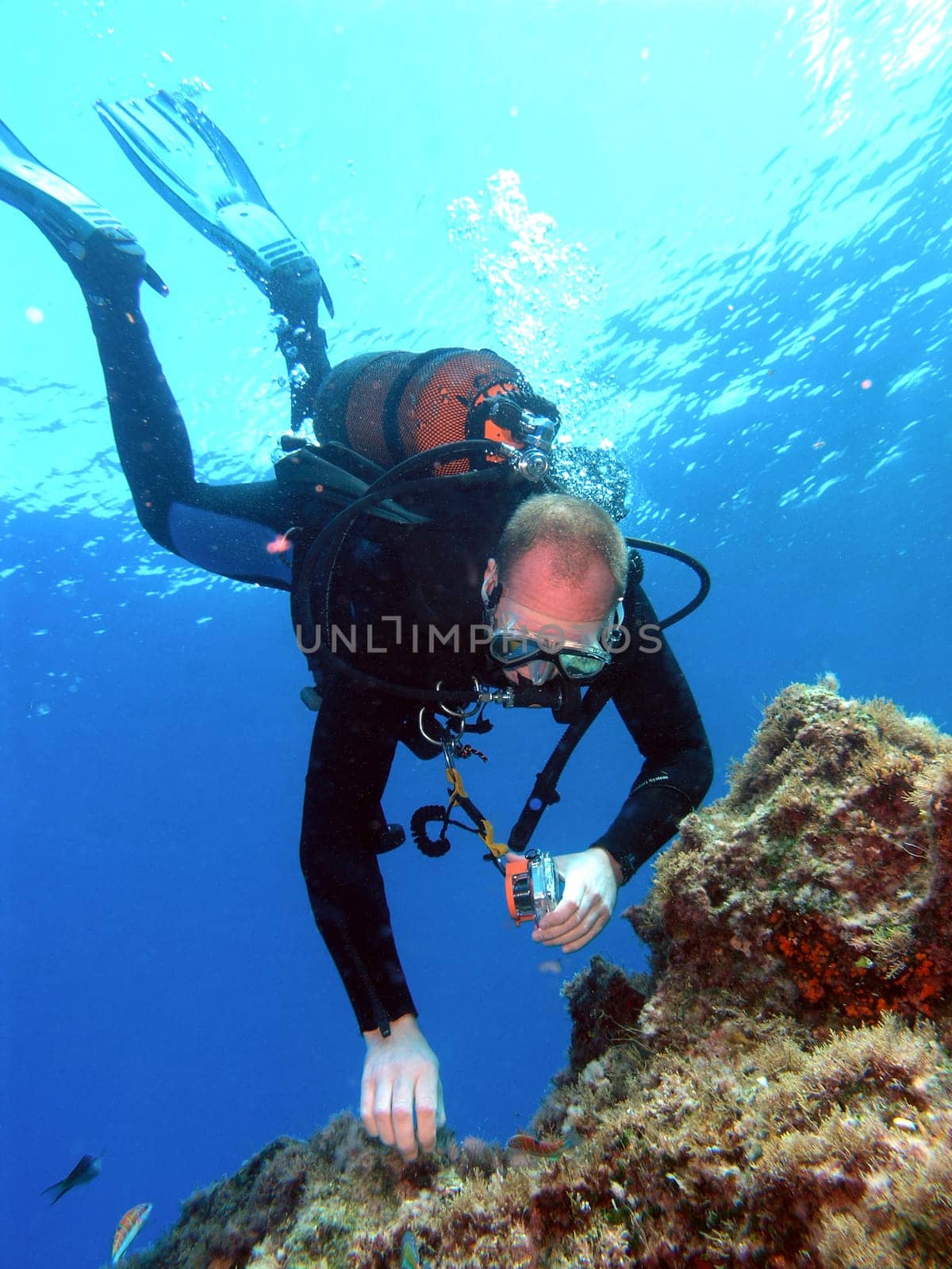 Diver examines the subsurface