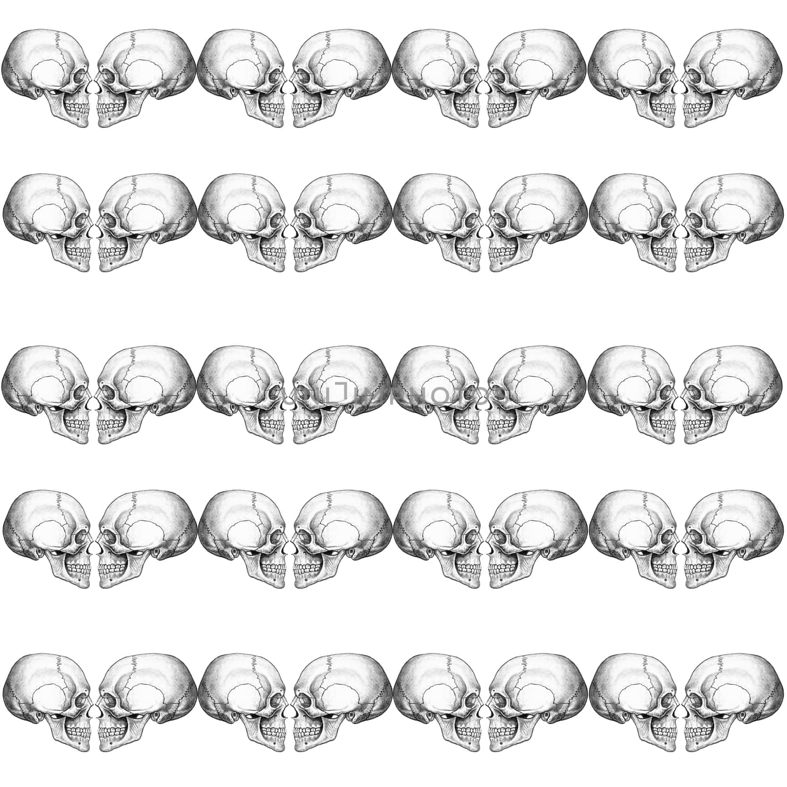 skulls - Halloween background