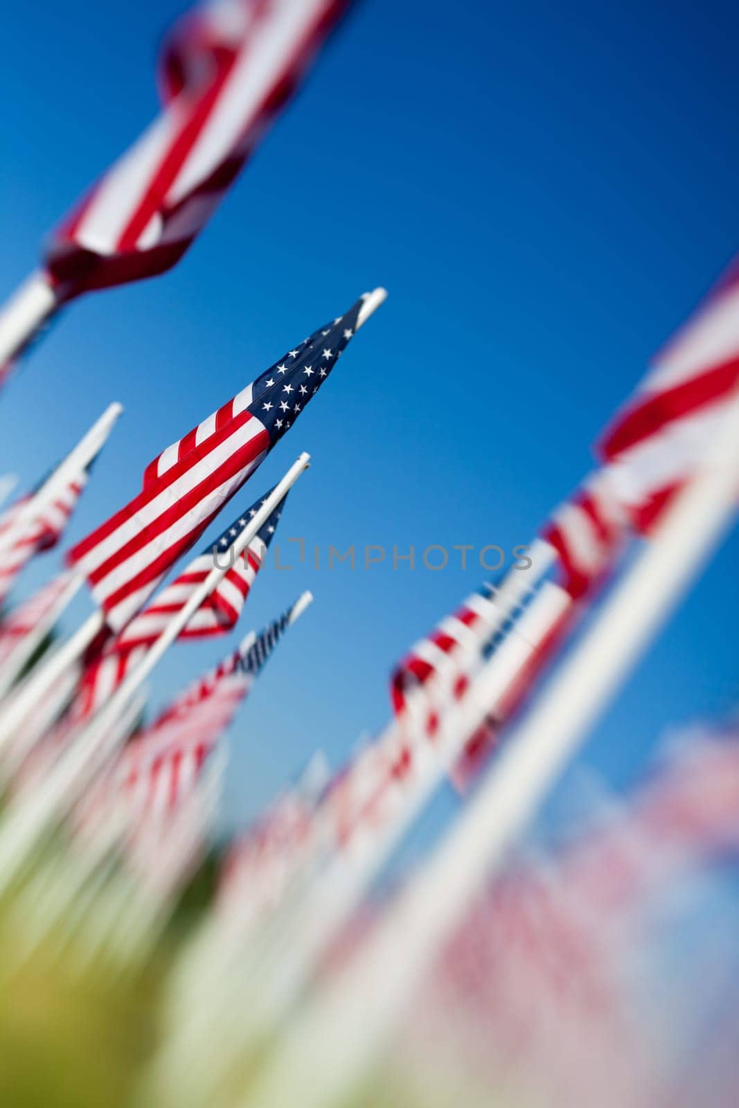 Memorial Day USA flags - shallow focus